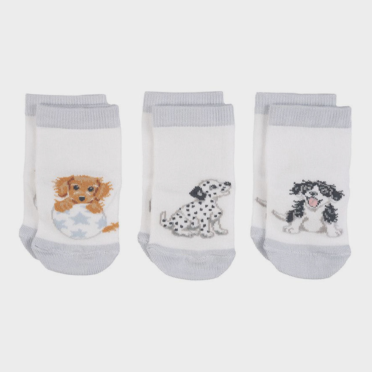 'Little Paws' Dog Baby Socks by Wrendale Designs