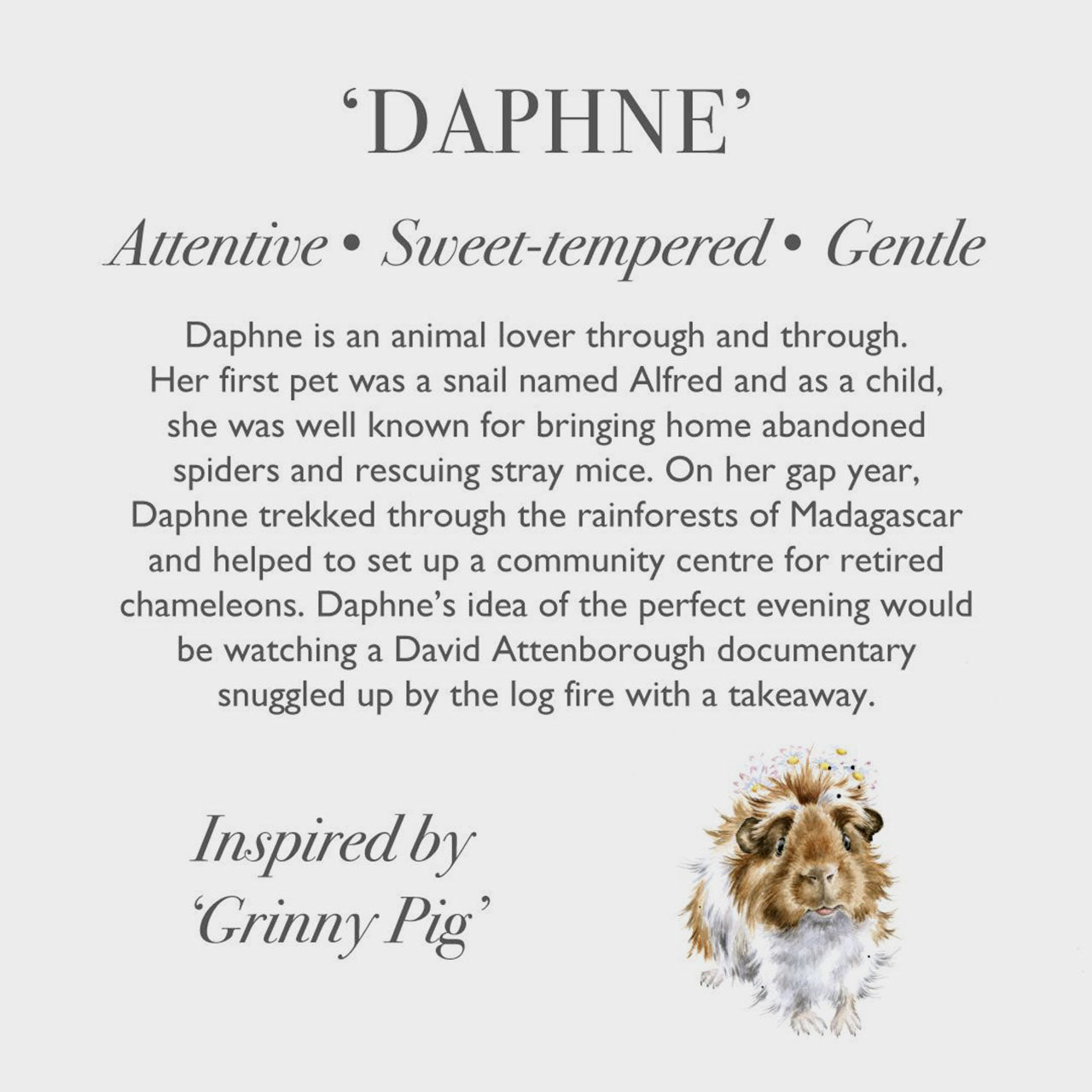 'Daphne' Guinea Pig Character by Wrendale Designs